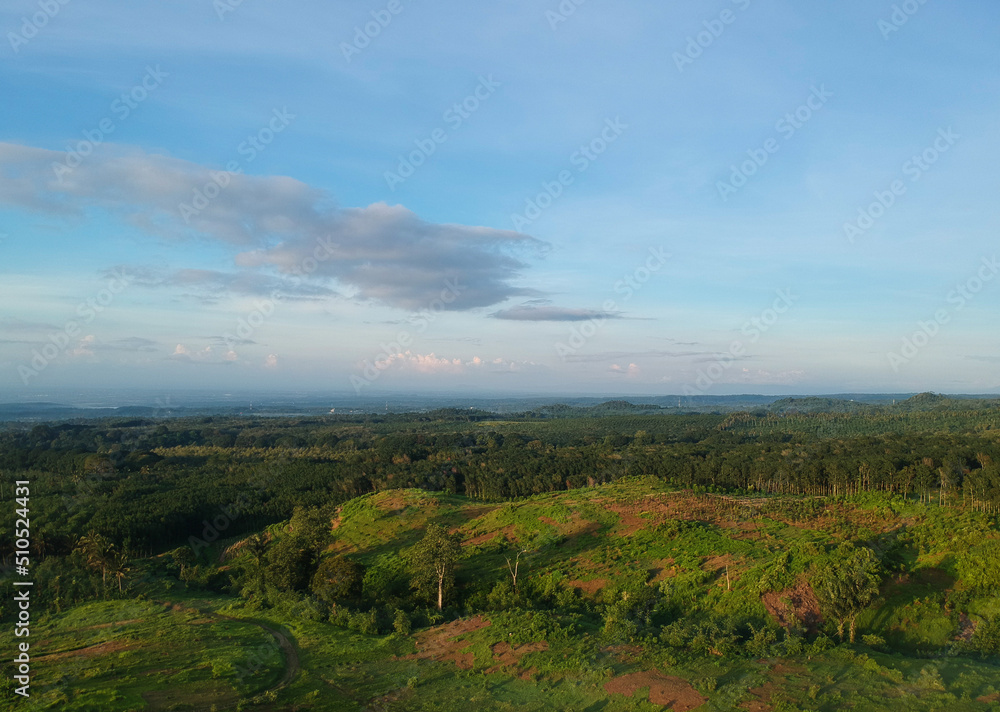 Beautiful landscape at the plantation in Banyuwangi, Indonesia.