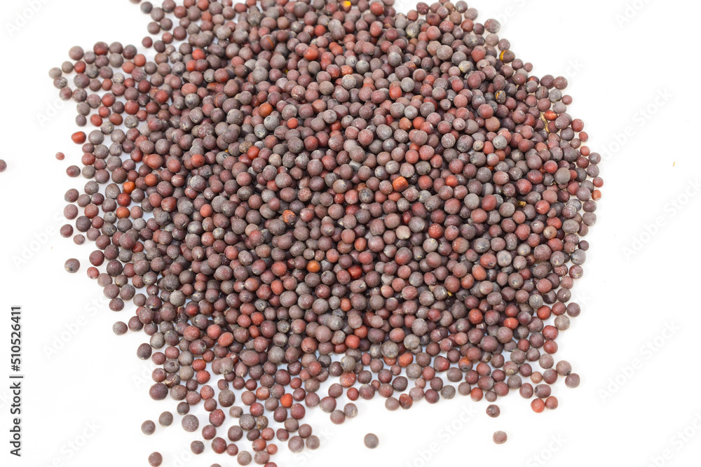 Black Mustard seed isolated on white background Black Mustard seed isolated on white background