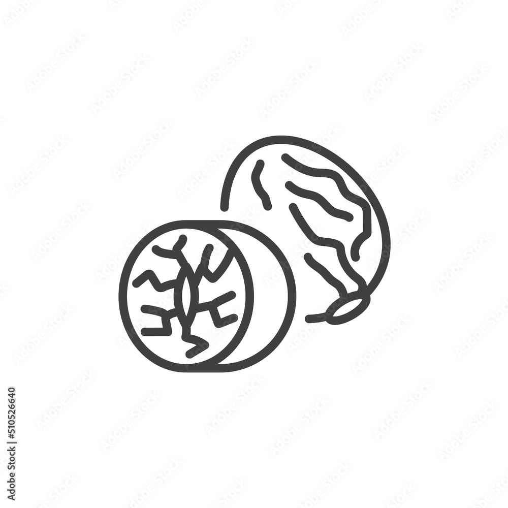 Nutmeg seed line icon Nutmeg seed line icon