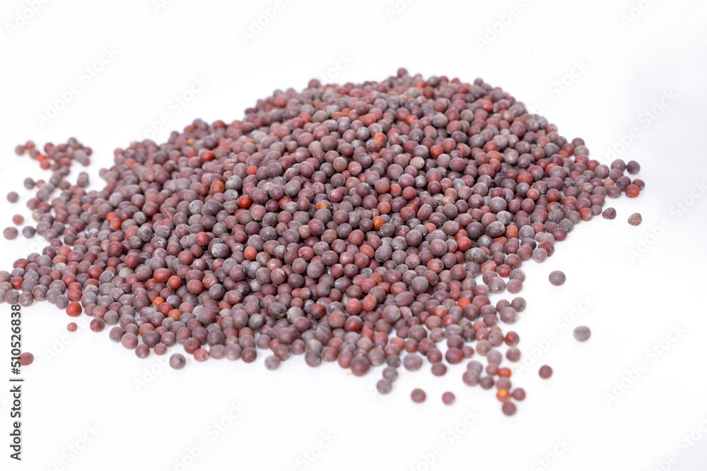Black Mustard seed isolated on white background Black Mustard seed isolated on white background