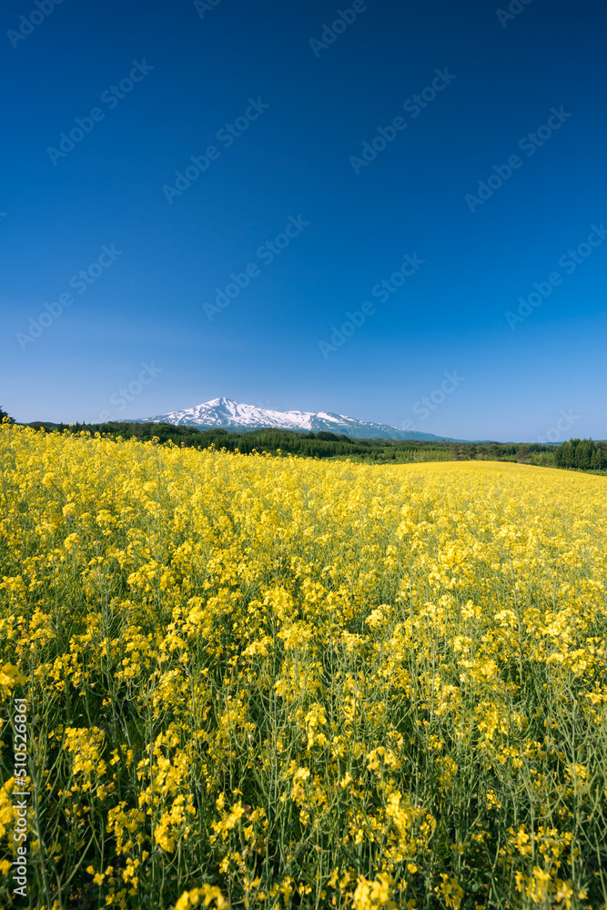 秋田県　鳥海山