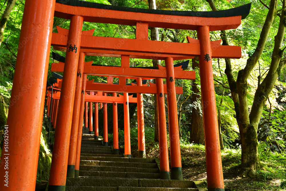 有子山稲荷神社の連なる鳥居（兵庫県豊岡市出石町） 