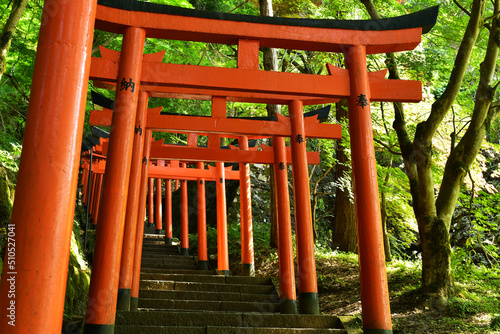 有子山稲荷神社の連なる鳥居（兵庫県豊岡市出石町） 