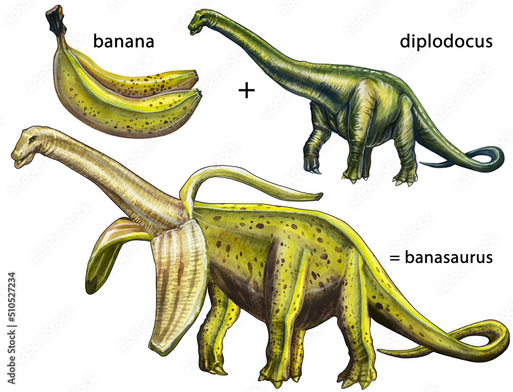 Fototapeta premium A fun mix of banana fruit and diplodocus dinosaur. Watercolor drawing isolated on a white background.