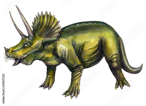 Prehistoric drawing of a Triceratops dinosaur in watercolor on a white background. © Viktoriia