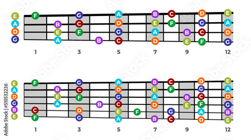 Bass and guitar neck with notes