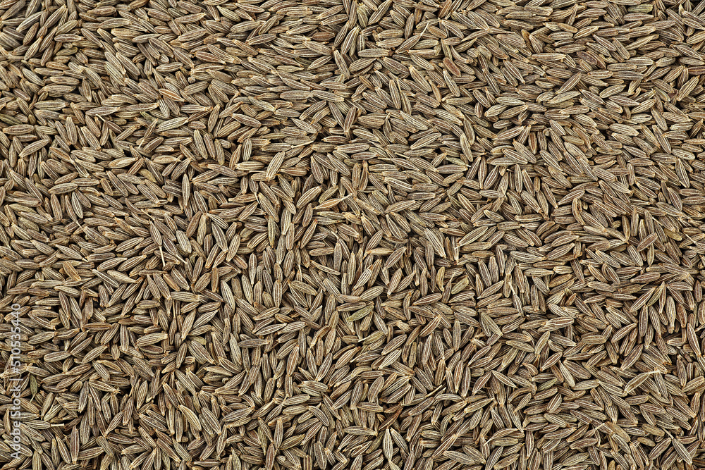 Close up of cumin seeds as background, top view. Macro. Close up of cumin seeds as background, top view. Macro.