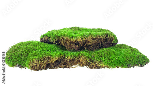 Green moss isolated on a white background. Mossy hill.