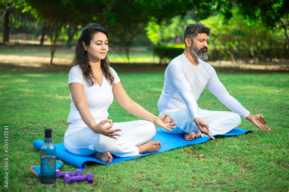 Two indian male and female person do yoga mediation exercise together in the park outdoor. Healthy lifestyle, Sports and workout concept, Two indian male and female person do yoga mediation exercise together in the park outdoor. Healthy lifestyle, Sports and workout concept,