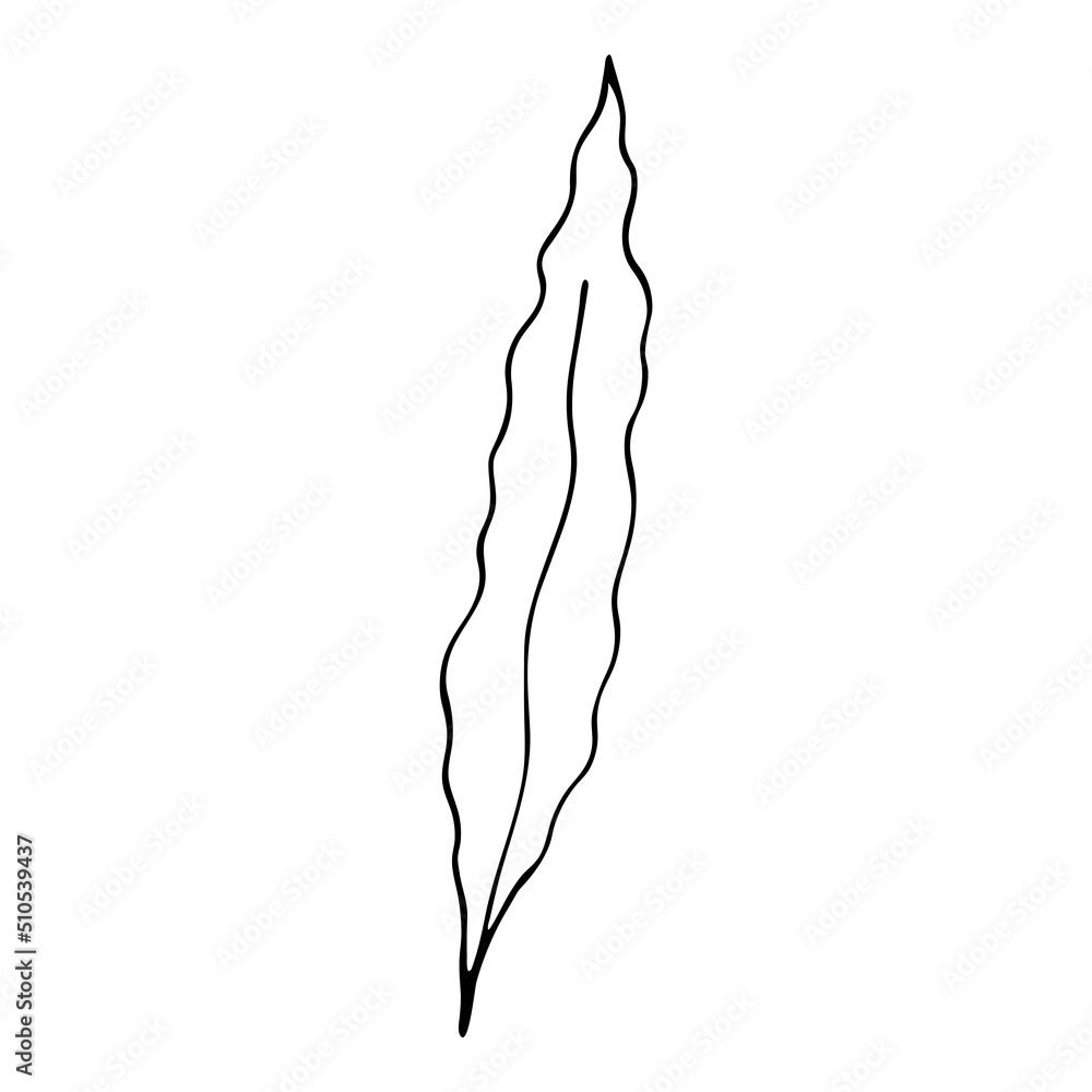 Black and White Seaweed Coloring Page, Hand drawn black and white sea doodle sketch illustration. Seaweed Coloring Book for Kids. Black and White Seaweed Coloring Page, Hand drawn black and white sea doodle sketch illustration. Seaweed Coloring Book for Kids.