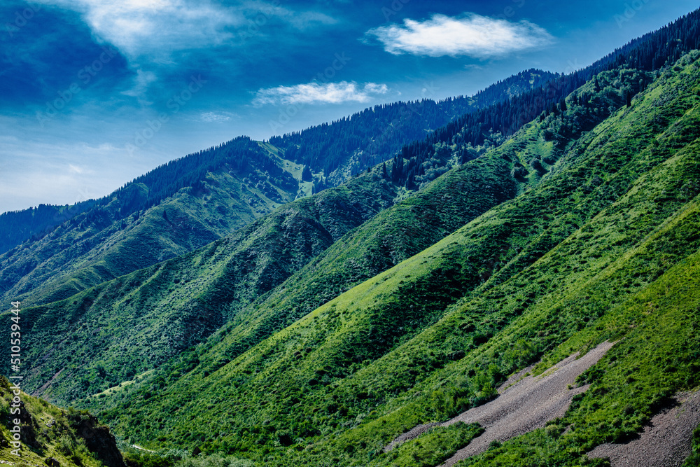 Naklejka premium landscape with mountains