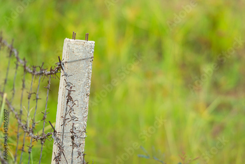 Metal barbwire fence with greenery of farming area as background. Selective focus.