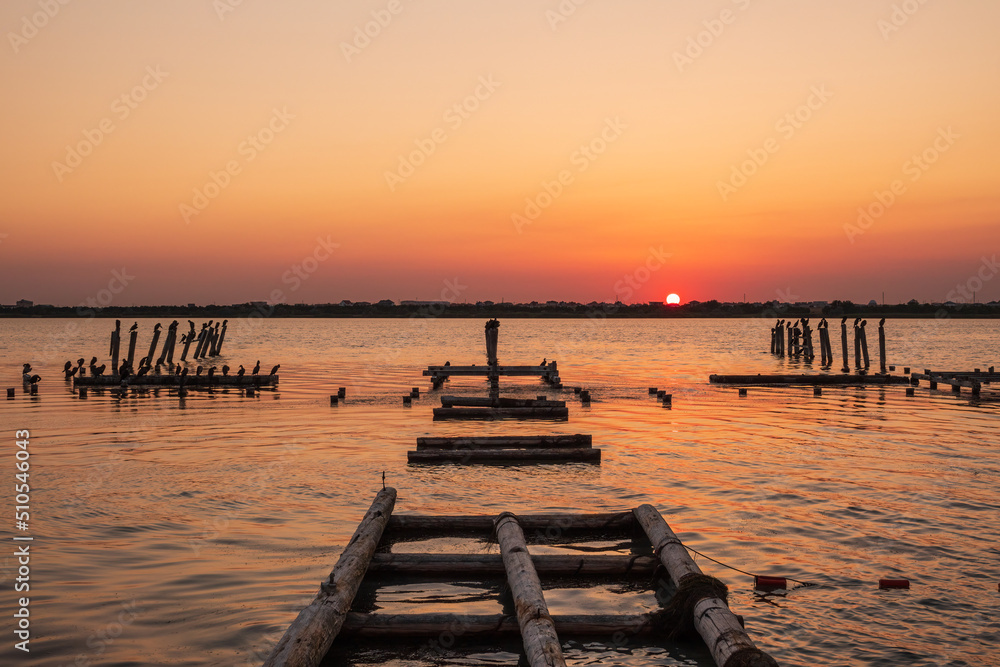 Beautiful red and orange sunset over the sea. The sun goes down over the sea. A flock of cormorants sits on a old sea pier in orange sunset light