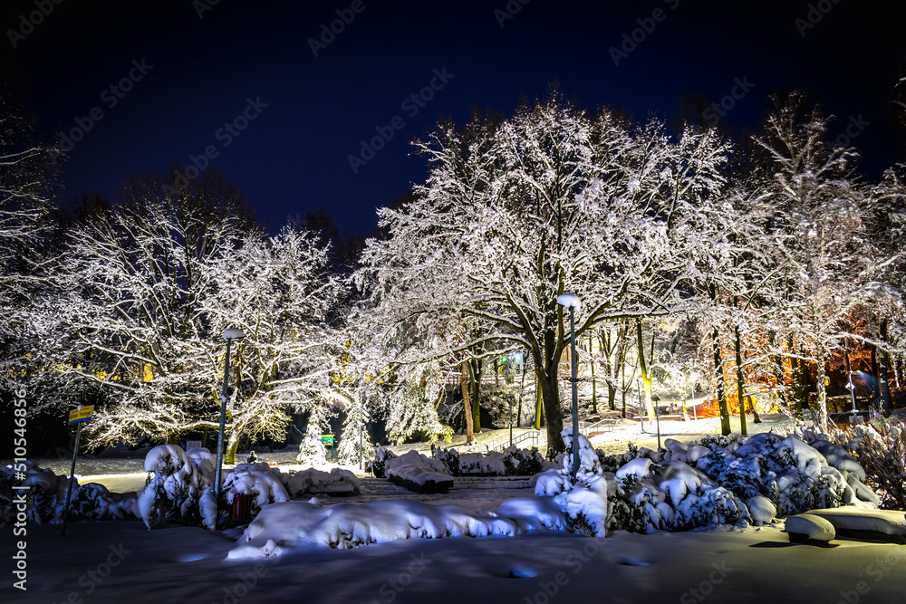 winter in the city