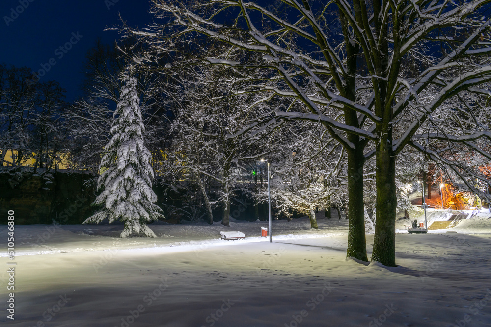 christmas tree under snow