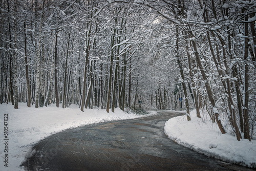 Obraz na płótnie the road is chilled by ice w salonie