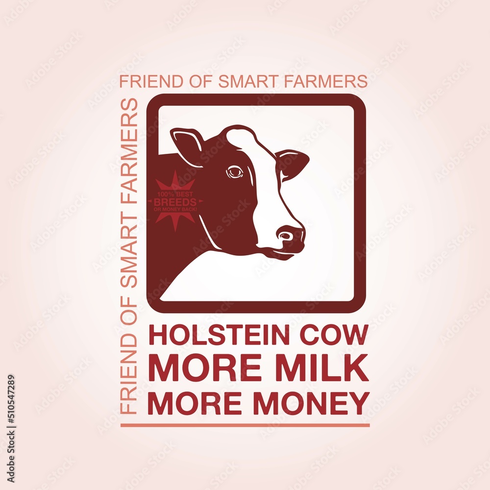 holstein cow milk banner for promote your best cattle product, vector illustration holstein cow milk banner for promote your best cattle product, vector illustration