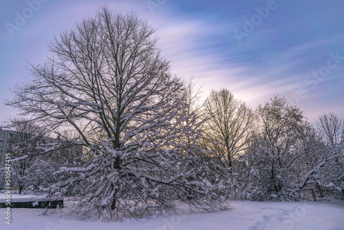 winter sunrise © Krzysztof Rostkowski