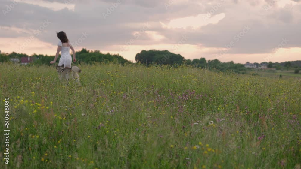 4k slow motion shot of young cheerful female playing with her husky dog in the field during beautiful sunset 4k slow motion shot of young cheerful female playing with her husky dog in the field during beautiful sunset