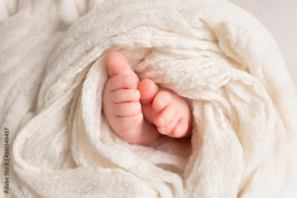 legs of a newborn in a white blanket. newborn baby. small baby feet legs of a newborn in a white blanket. newborn baby. small baby feet