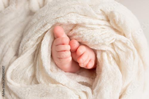 legs of a newborn in a white blanket. newborn baby. small baby feet © Svetlana
