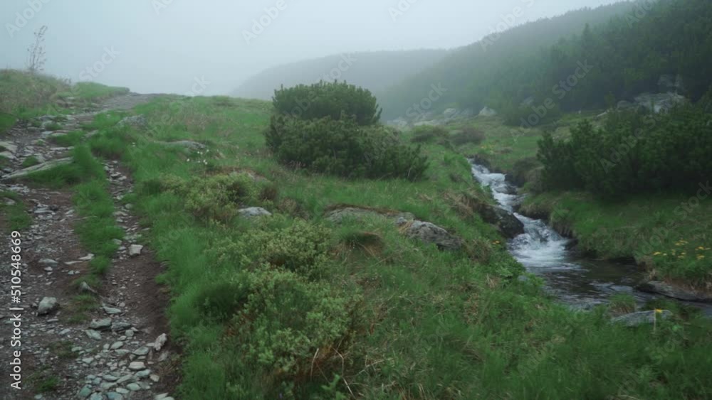 flowing mountain river in clouds mist flowing mountain river in clouds mist