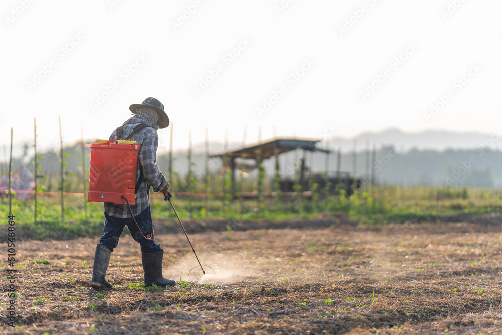 Farmers are using chemical sprayers on their farm fields. to prevent insects To nourish plants. Use of agricultural chemicals. Farmers are using chemical sprayers on their farm fields. to prevent insects To nourish plants. Use of agricultural chemicals.