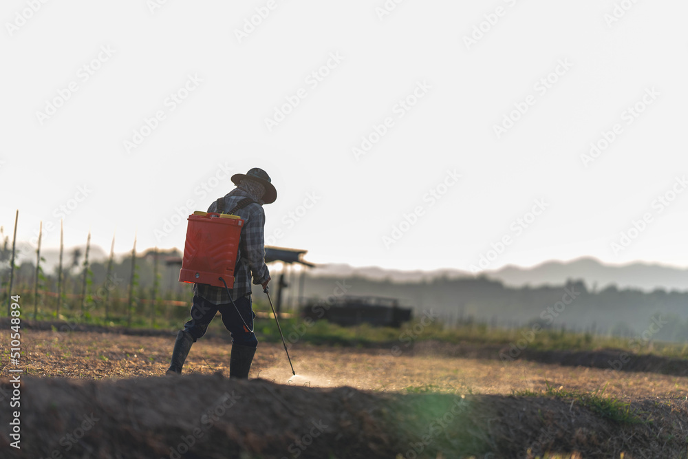 Farmers are using chemical sprayers on their farm fields. to prevent insects To nourish plants. Use of agricultural chemicals. Farmers are using chemical sprayers on their farm fields. to prevent insects To nourish plants. Use of agricultural chemicals.