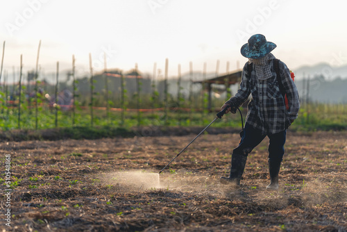 Farmers are using chemical sprayers on their farm fields. to prevent insects To nourish plants. Use of agricultural chemicals.