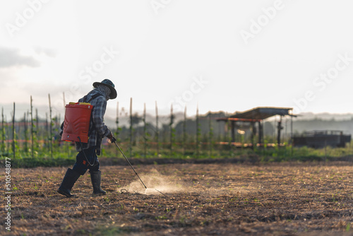 Farmers are using chemical sprayers on their farm fields. to prevent insects To nourish plants. Use of agricultural chemicals.