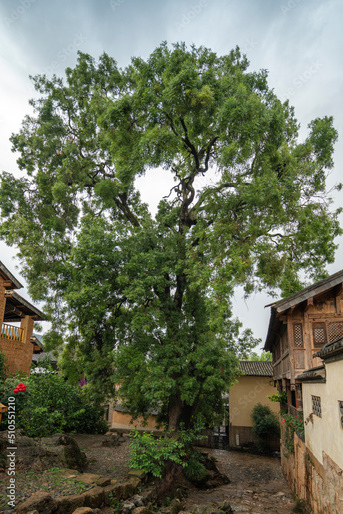 old village in Dali Yunnan China