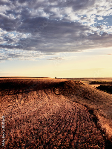 Rural landscape in Tierra de Campos during springtime  Spain. The large cereal fields in the Castilla region of central Spain are harvested in summer.