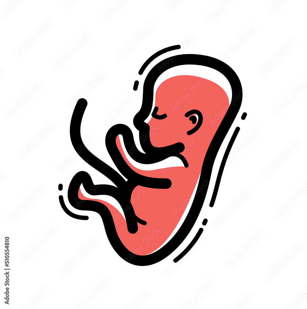 Human fetus embryo womb unborn child vector linear icon isolated on white background. Human fetus embryo womb unborn child vector linear icon isolated on white background.