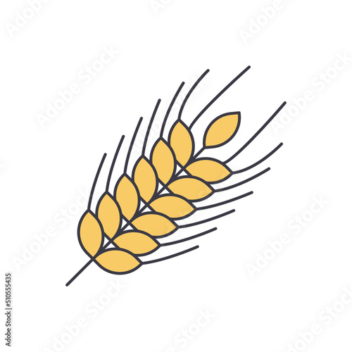 Rye icon in color, isolated on white background 
