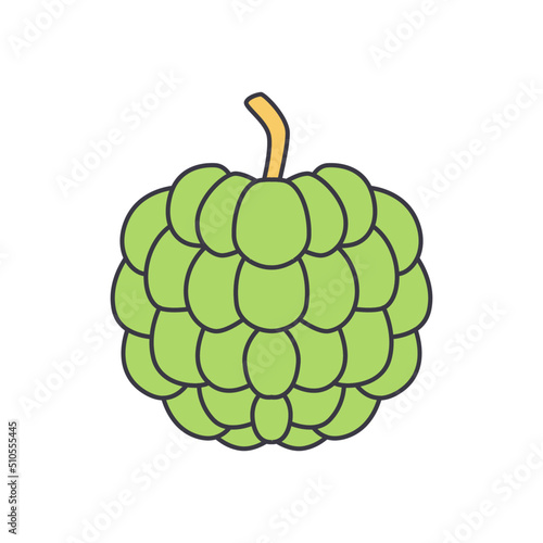 Custard apple fruit icon in color, isolated on white background 