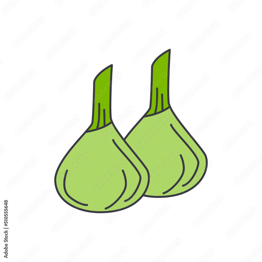 Fennel icon in color, isolated on white background 