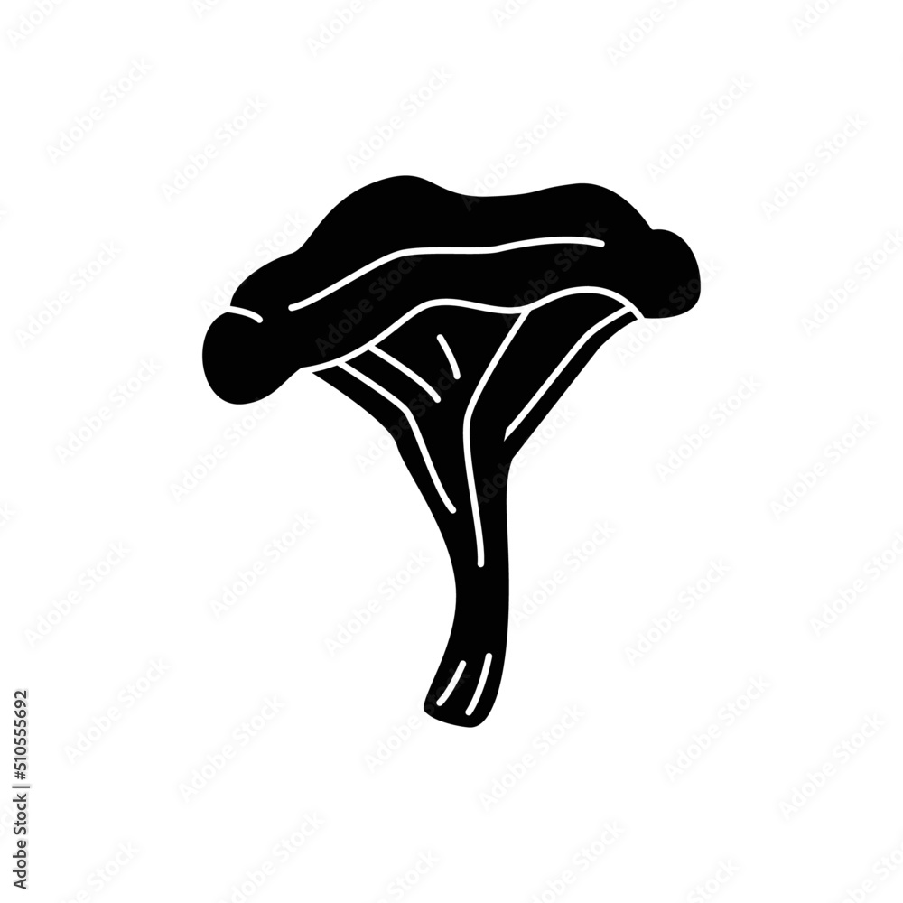Chanterelle Mushroom icon in black flat glyph, filled style isolated on white background Chanterelle Mushroom icon in black flat glyph, filled style isolated on white background
