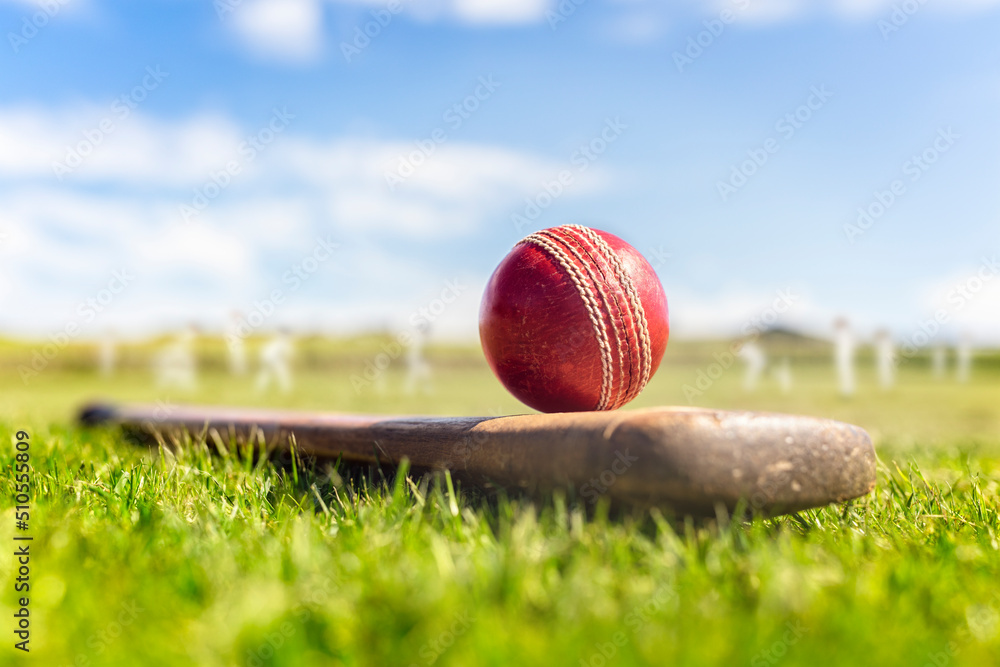 Cricket ball on top of cricket bat on green grass of cricket ground background - obrazy, fototapety, plakaty 
