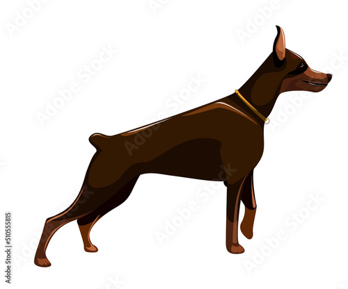 Vector image of a dog in a stance before an attack. Isolated on white background. EPS 10