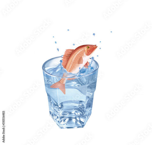 vivaneau, poisson, évasion, eau, en verre, boire, clapoter, glace, isolé, liquide, abattre, blanc, froid, bleu, éclaboussure, bouillonner, transparent, clair, cool, frais, humide, propre, rafraîchisse photo