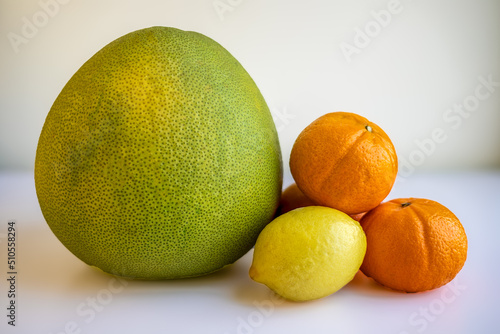 Obraz na płótnie A whole pomelo, oranges and a lemon, isolated citrus fruits. w salonie