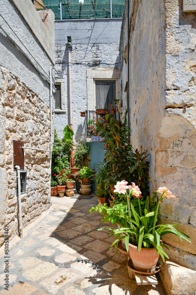A small street in Casamassima, a village with blue-colored houses in the Puglia region of Italy.