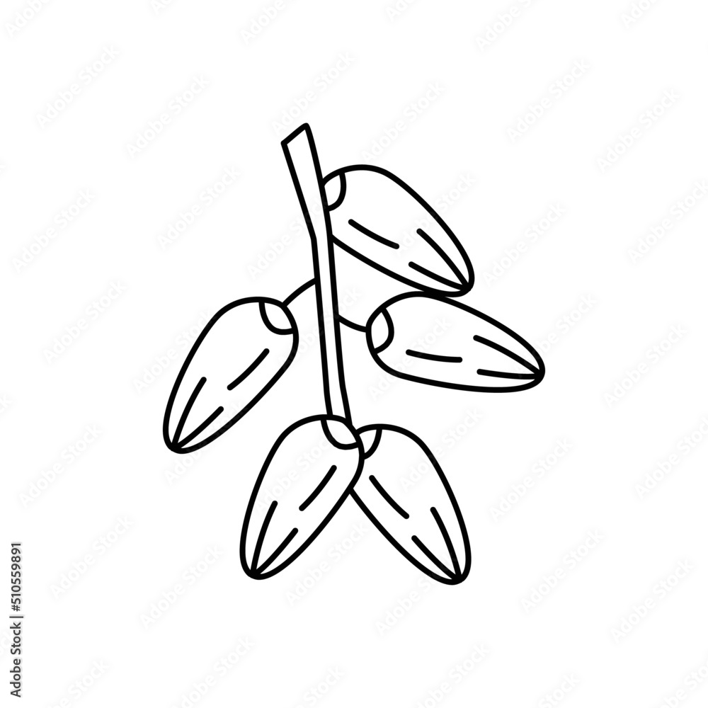 Dates icon in line style icon, isolated on white background Dates icon in line style icon, isolated on white background
