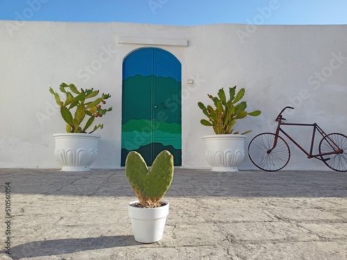 Blue door in Ostuni and a heart shaped cactus