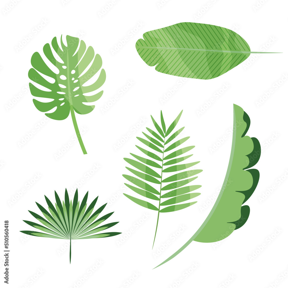 Vector image of a set of tropical leaves. Vector image of a set of tropical leaves.