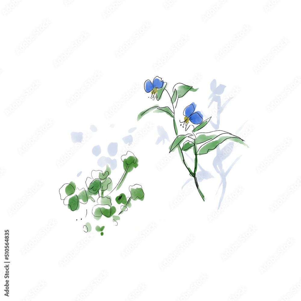 野原の草花 野原の草花
