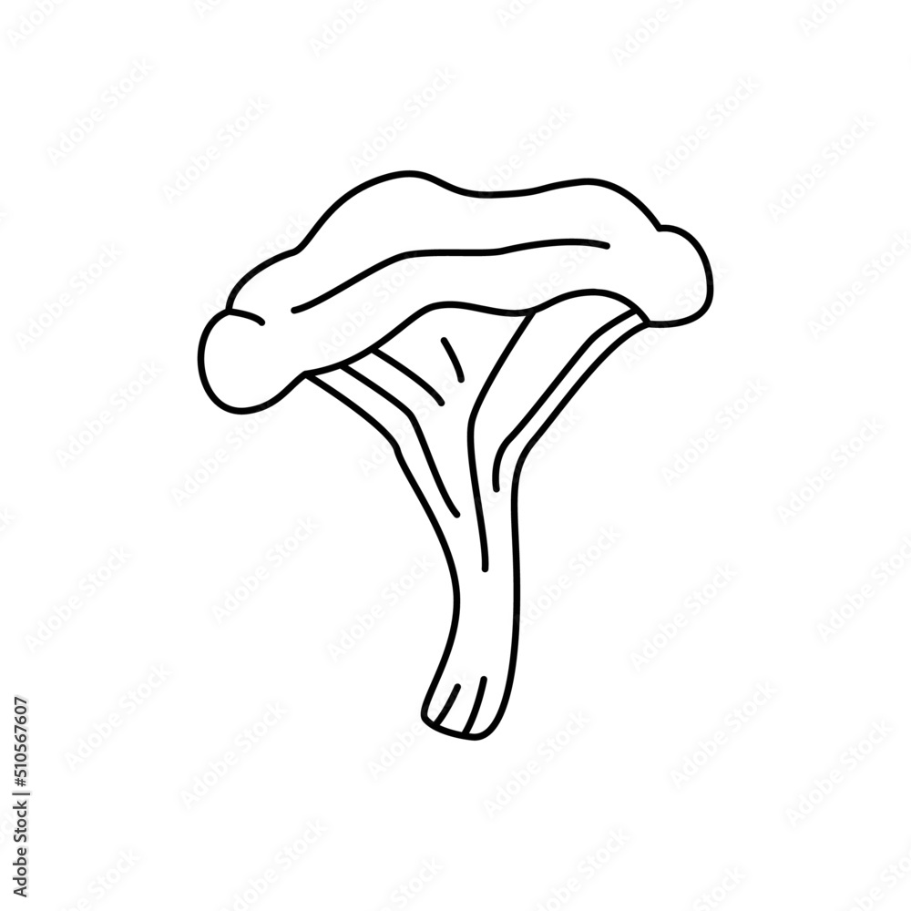 Chanterelle Mushroom icon in line style icon, isolated on white background Chanterelle Mushroom icon in line style icon, isolated on white background