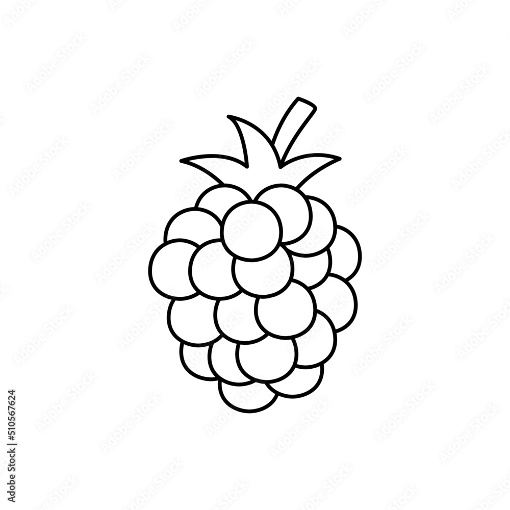 Blackberry fruit icon in line style icon, isolated on white background Blackberry fruit icon in line style icon, isolated on white background