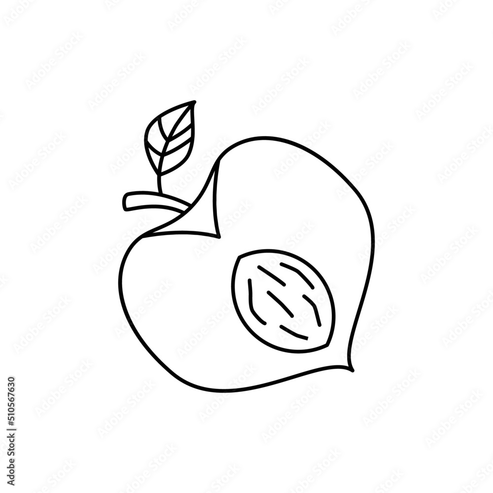 Peach fruit icon in line style icon, isolated on white background Peach fruit icon in line style icon, isolated on white background