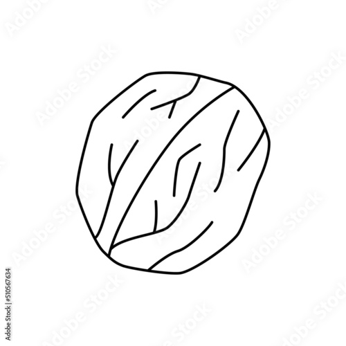 Walnut icon in line style icon, isolated on white background
